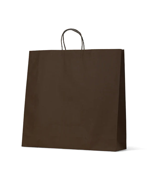 Budget Black Kraft Paper bag - Large - 100/ctn