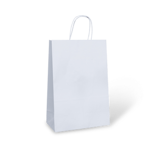 #16 Paris Paper Twist Handle Bag Carton 250