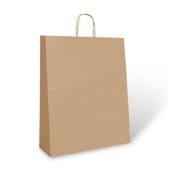 Recycled #22 Rome Brown Paper Twist Handle Bags / 150