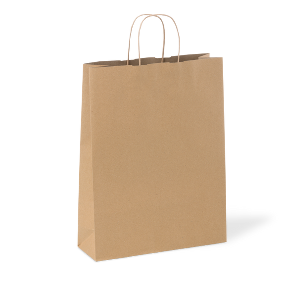Recycled #18 Sydney Brown Paper Twist Handle Bags  /  200