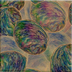 Watercolour Paua Wrap on Kraft