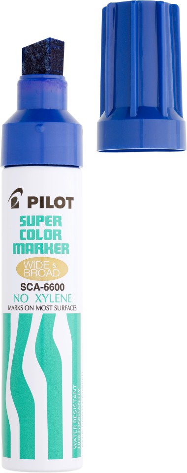 Pilot Super Color Jumbo Permanent Markers - Biggest Online Office Supplies  Store