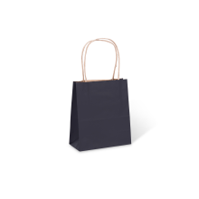 #2 Extra Small BLACK Petite Paper Twist Handle Bags 165H x 140W / Carton 250
