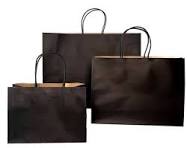 #22Short  BLACK Paper Twist Handle Bags 300H x 380W / Carton 200